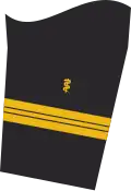 Dienstgradabzeichen eines Stabsarztes (Approbation für Humanmedizin) auf dem Unterärmel der Jacke des Dienstanzuges für Marineuniformträger