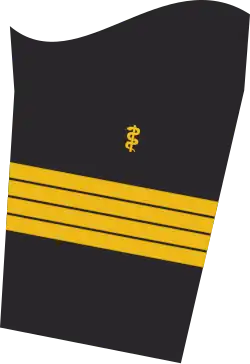 Dienstgradabzeichen eines Flottenarztes (Approbation für Humanmedizin) auf dem Unterärmel der Jacke des Dienstanzuges für Marineuniformträger