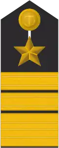 Schulterklappe eines Vizeadmirals (Truppendienst)