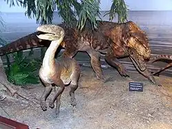 Dinosaurier Silesaurus und Archosaurier Rauisuchus