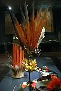 Federschmuck, Museum für Völkerkunde (Wien).
