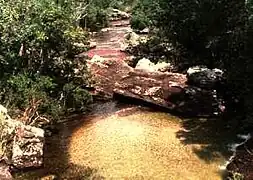 Fluss Caño Cristales