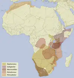 Verbreitungsgebiet der Macroscelididae