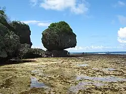 Felsformation in Magpupungko