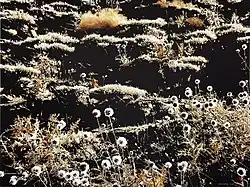 Bild 2: In der Spur der Schatten I, 2006