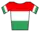 Ungarisches Meistertrikot