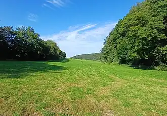 Maladenwiese, links Geusenweg im Heckenverlauf
