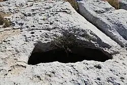 Wagenspuren von Triq is-Salina