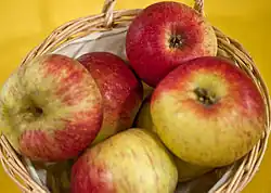 Prinz Albrecht von Preußen