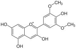 Struktur von Malvidin