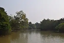 Schutzgebiet Bhitarkanika