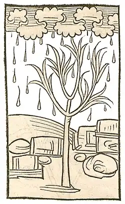 Buch I, Kapitel 275. Manna