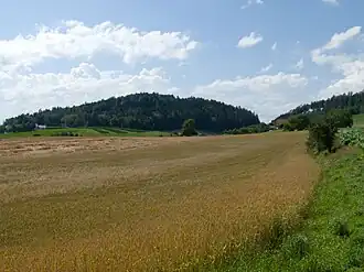 Der Mannenberg bei der Habstettenstrasse in Bolligen