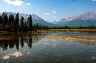 Blick vom Tok Cut-Off auf die Mentasta Mountains