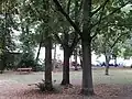 Ansicht im Park (im mittleren Bereich)