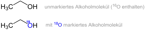 Beispiel einer Isotopen-markierten Verbindung