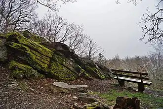 Ruhebank am Aussichtspunkt (Ausblick leider vernebelt)
