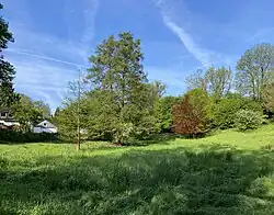 Quellemulde des Murmelbaches in Marpe