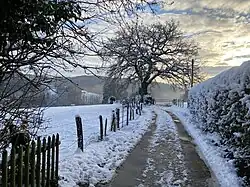 Weg ins Marscheider Bachtal