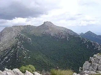 Puig de Massanella