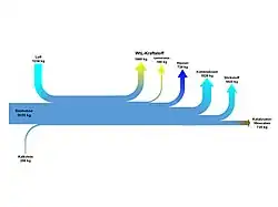 Massflow Diagram of A Catalytic Waste to Liquid Plant
