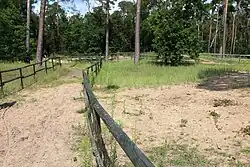 Binnendüne Maulbeerbuckel bei Walldorf (Rhein-Neckar-Kreis)