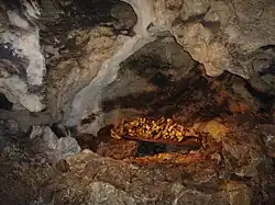 Knochen von gefallenen Soldaten (unten) und von Höhlenbären (oben)