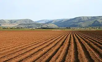 Blick von Norden nahe Ellensburg zum Yakima Canyon.