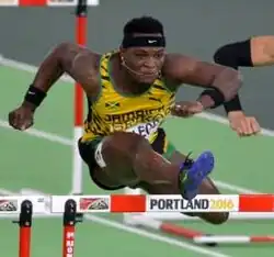 Omar McLeod wurde&nbsp;Sechster
