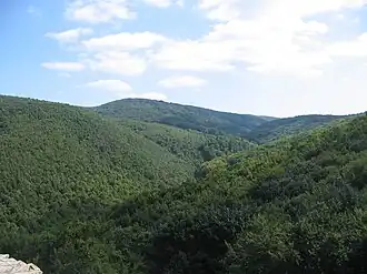 Typisches Landschaftsbild im Mecsek