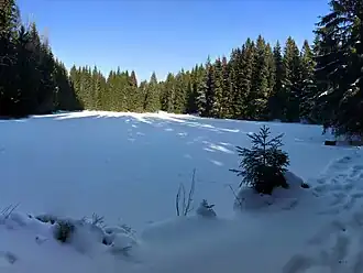 Der Jelení jezírko im Winter