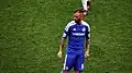 Raul Meireles