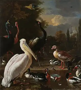 Die schwimmende Feder (Melchior de Hondecoeter)