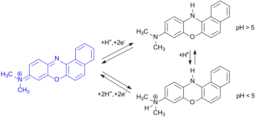 Redoxreaktione an Meldola-Blau