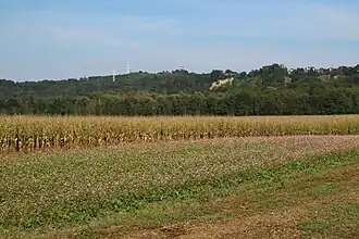 Mellachberg von Südwesten (Werndorf)