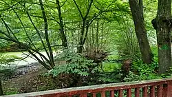 Mellingbek an der Einmündung in die Alster, links Hohenbuchenteich