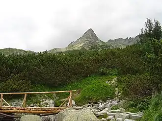 Mengusovský Volovec