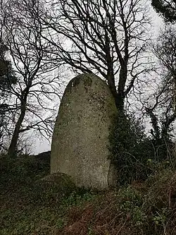 Menhir in Cosquer Jehan