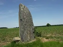 Menhir von Ger