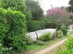 Menhir Mane er Hroech, Locmariaquer (Morbihan)