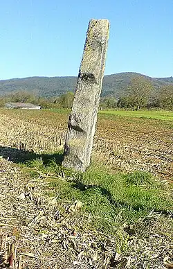 Menhir Pierrefiche