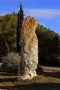 Menhir Pedra Alta von Can Ferrer