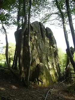 Menhir von Coutevrais
