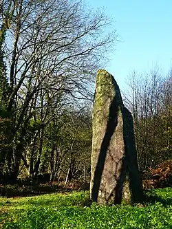 Menhir von Goh-Menhir