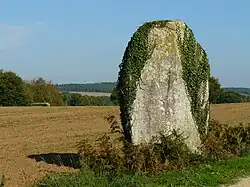 Menhir von Lann Douar