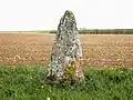 Menhir de Pierre Fiche