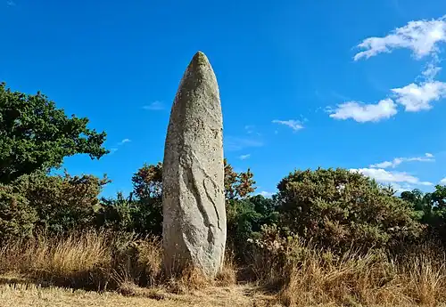 La Roche Longue von Quintin