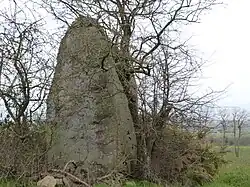 Menhir, genannt La Pierre Longue