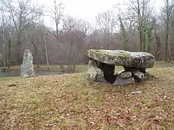 Menhir und Dolmen von Ménardeix