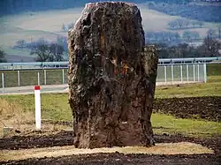 Menhir von Derenburg